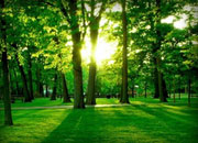 Sustainability Solutions